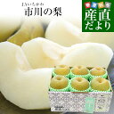 千葉県産 JAいちかわ 市川の梨 （柏井または市川中央支部）優品以上 大玉 約2キロ(5玉から6玉) 送料無料 梨 なし ナシ 幸水 豊水 あきづき