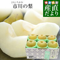 千葉県産 JAいちかわ 市川の梨 （柏井または市川中央支部）優品以上 大玉 約2キロ(5玉から6玉) 送料無料 …