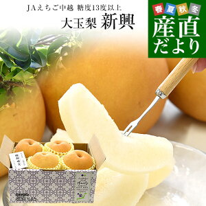 VY JAz x13xȏ ʗ V uŏʓFNm (Ƃ񂩂)v  2L (4)  Ȃ iV