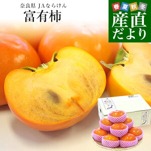 ޗǌ JAȂ炯 xL` Diȏ 2LLTCY 2.5L(9ʂ11ʁj `  ӂ䂤`