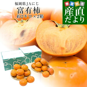  JAɂ xL` Diȏ LMTCY 2L×2iv16ʂ20ʁj   JL Ê`