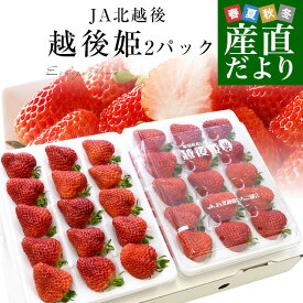 新潟県より産地直送 JA北越後 越後姫(えちごひめ) 880gから940g化粧箱 (24粒から30粒入り) 送料無料 ゆりカーゴタイプ イチゴ 苺 いちご ※クール便発送