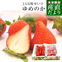 長崎県より産地直送 JA長崎せいひ 期待の新品種いちご ゆめのか 1箱 約500g (250g×2パック 入り) 合計18粒から30粒入り 送料無料　苺 イチゴ