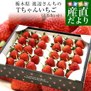 栃木県より産地直送 渡辺さんちのTちゃんいちご(とちあいか)　350g以上×2パック3Lサイズ(9粒から15粒×2P) 苺 いちご…