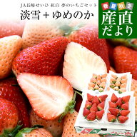 長崎県より産地直送 JA長崎せいひ　紅白 夢のいちごセット「淡雪」1箱約500g＋「ゆめのか」1箱約500g 送…