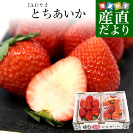 栃木県より産地直送 JAおやま 大粒 とちあいか 1箱 約540g (270g×2パック) 合計10粒から14粒 送料無料 いちご イチゴ 苺 クール便