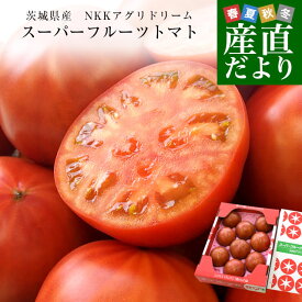 茨城県より産地直送 NKKアグリドリーム スーパーフルーツトマト 9度＋ A品 約1キロ(8玉から16玉) 送料無料 高糖度トマト NKKトマト
