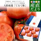 茨城県より産地直送 NKKアグリドリーム スーパーフルーツトマト 9度＋ A品　大粒厳選「てるて姫」約900g(6玉から8玉) 送料無料 高糖度トマト NKKトマト
