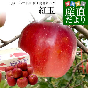 茧Yn JAĒ ㊮n񂲁ugʁvFȏ 2.5Li10ʂ12ʁj  ь S 傭