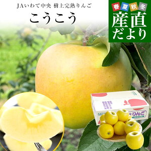 茧Yn JAĒ ㊮n񂲁uvFȏ 2.5Li7ʂ10ʁj  ь S