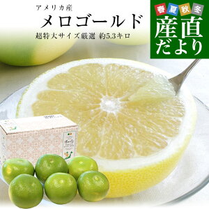 AJY S[h TCY 5.3Li6ʁj O[vt[c k sꔭ