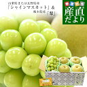 【敬老の日ギフト】山梨県または長野県産「シャインマスカット」1房(500g以上) ＆栃木県産「梨(品種：豊水またはあき…