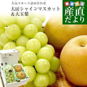 [VC}XJbg1[(600g)ʗ2(v700g)@@L@Â@Ԃǂ@Ȃ