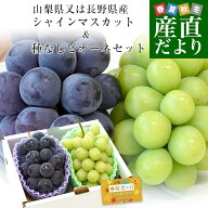 【敬老の日ギフト】山梨県又は長野県産 シャインマスカット＆種なしピオーネ　秀品 各1房入り 合計約1キ…