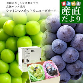 【夏ギフト・ハウス高級ぶどう】岡山県産　JA全農おかやま 高級ハウス栽培 シャインマスカット＆ニューピオーネセット 青秀品以上 大房 合計約1.2キロ (600g前後×2房)　送料無料 ブドウ 葡萄 フルーツギフト ※クール便