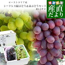 皮ごと食べられる！高糖度！シードレス緑ぶどう＆赤ぶどうセット オーストラリア産 約1.2キロ（約600g×2入）送料無料…