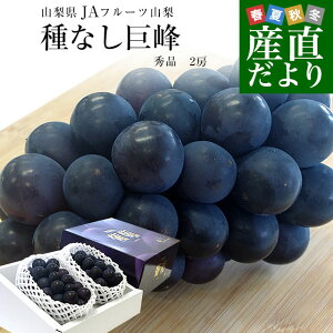 RYn JAt[cR Ȃ Gi [2[艻ϔ (550g×2[)   Ԃǂ