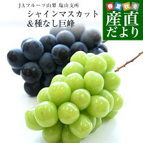 楽天市場】シャインマスカット 2lの通販