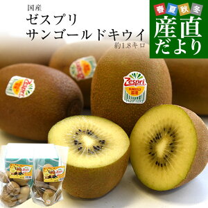 Y[XvETS[hLEC v1.8Liv14ʂ22ʁj LECt[c 