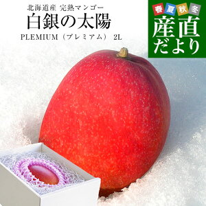 kCY@n}S[ȗzPLEMIUMiv~Ajv2LTCY1ʁi350g449gj܂񂲁[ 