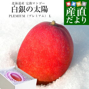 kCY@n}S[ȗzPLEMIUMiv~AjvLTCY1ʁi310g349gj܂񂲁[ 