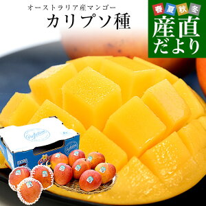 I[XgAY }S[ Jv\ 4L (10ʂ11)  }S[ gsJt[c