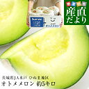 茨城県より産地直送 JA水戸 ひぬま地区 オトメメロン 大玉の4Lから3L 約5キロ (3玉から4玉) 送料無料 青肉メロン めろん