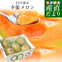 北海道産 JA夕張市 夕張メロン 良品 約8キロ （5玉入） 送料無料 めろん ゆうばり ※クール便