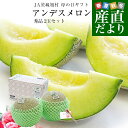 【母の日ギフト】茨城県産 JA茨城旭村 アンデスメロン 秀品 2玉セット (合計約2キロ) 2Lサイズ 送料無料 青肉 めろん