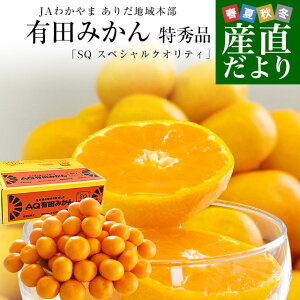 yΕ Mtgza̎RYn JA킩 肾n{ Lc݂ x12xȏ GiuSQ XyVNIeBvLSTCY 5L(40ʂ60) 