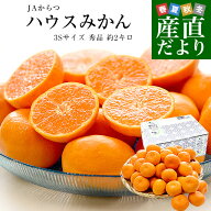 佐賀県 JAからつ ハウスみかん 小粒3Sサイズ 秀品 約2キロ（約400g×5袋）合計40玉から50玉前後 送料無料…