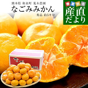 F{Yn a rؔ_ Ȃ݂݂ Gi MSTCY 5Li50ʂ60ʑOj ~J  a