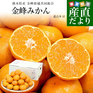 �F�{���Y ���􊹋k�����g�� ����݂��� �ԏG�i M����S�T�C�Y ��3�L���i30�ʂ���36�ʑO��j�������� �~�J�� ���� ����ۂ�