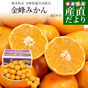 �F�{���Y ���􊹋k�����g�� ����݂��� �ԏG�i M����S�T�C�Y ��5�L���i50�ʂ���60�ʑO��j�������� �~�J�� ���� ����ۂ�