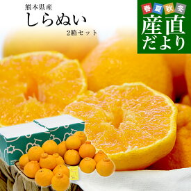 【ダイヤモンド・プラチナ会員限定クーポン配布中！】家計応援価格！熊本県から産地直送 熊本県産 しらぬい(不知火) 優品以上 3LからMサイズ 約2.3キロ×2箱(合計15玉から28玉前後) 送料無料 しらぬひ 柑橘