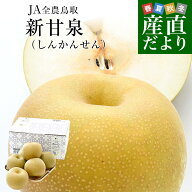 鳥取県産 JA全農鳥取 新甘泉梨 約1.8キロ（5玉から6玉入り）送料無料 しんかんせんなし 梨 ナシ