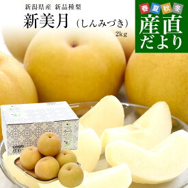 新潟県産 新美月（しんみづき） 大玉 約2キロ(4玉から6玉) 送料無料 しんみずき 赤梨　梨　なし