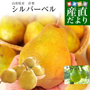 R`Y@mVo[x Giȏ 3L (5ʂ10)  m