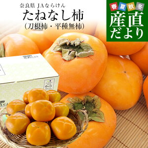 奈良県 JAならけん たねなし柿(刀根柿・平種無柿)優品以上 Lサイズ 約2.5キロ(11玉から12玉) 送料無料 柿 かき