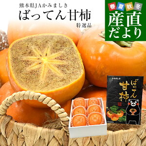 F{Yn JA݂܂ ΂ĂÊ` Ii ϔ 5LTCY 1.8Li6ʁj `  Ȃ` 햳` Mtg