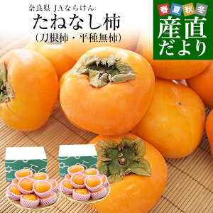 ޗǌ JAȂ炯 ˂Ȃ`i`E햳`jDiȏ LMTCY 2L×2(v20ʂ24ʓ)  ` 