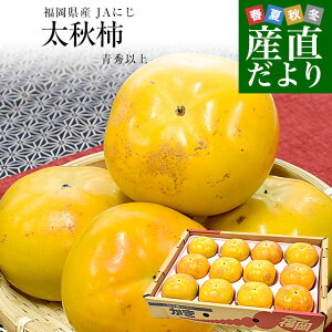 Y JAɂ H` Gȏ 2L3LTCY 3.5Li10ʂ12ʁj `  イ