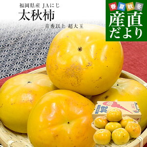 Y JAɂ H` Gȏ 4L5LTCY 3.5Li8ʂ9ʁj `  イ