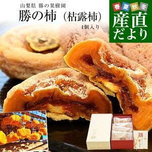 �R��������Y�n���� ���̉ʎ��� ���̊`�i�͘I�`�j 4����i1��55g�ȏ�j�������� �����` ���j���`