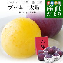 楽天市場】山梨 すもも 太陽の通販
