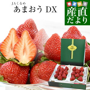 Yn JA ܂ DX 540gi270g×2jv1224    C`S fromB