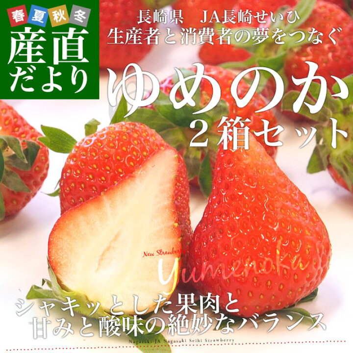 楽天市場】長崎県より産地直送 JA長崎せいひ ゆめのか 約500g × 2箱 