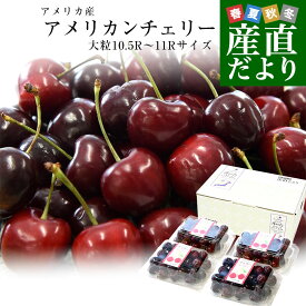 アメリカ産 アメリカンチェリー 大粒10.5Rから11Rサイズ 約800g（約200g×4パック）送料無料 チェリー サクランボ 桜桃