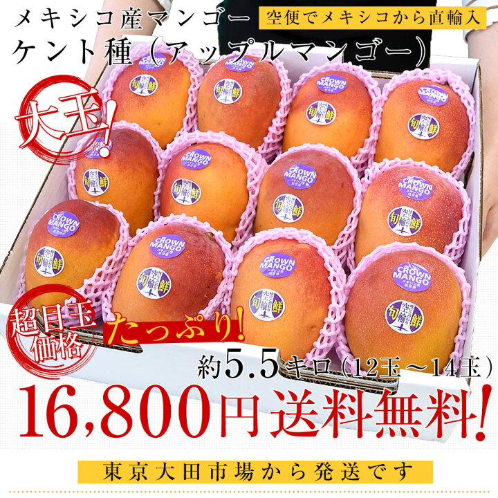 楽天市場】メキシコ産 アップルマンゴー (ケント種) 約5.5キロ原体箱 