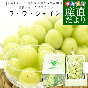 kCYn JAV m؃nEXԂǂYg VC}XJbguEEVCv1[(700gȏ)ϔ  Mtg N[